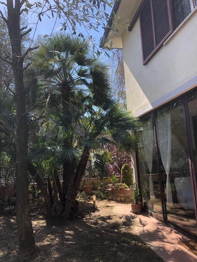 La Villa Bianca - Appartamento In Villa Sesto Fiorentino Ngoại thất bức ảnh