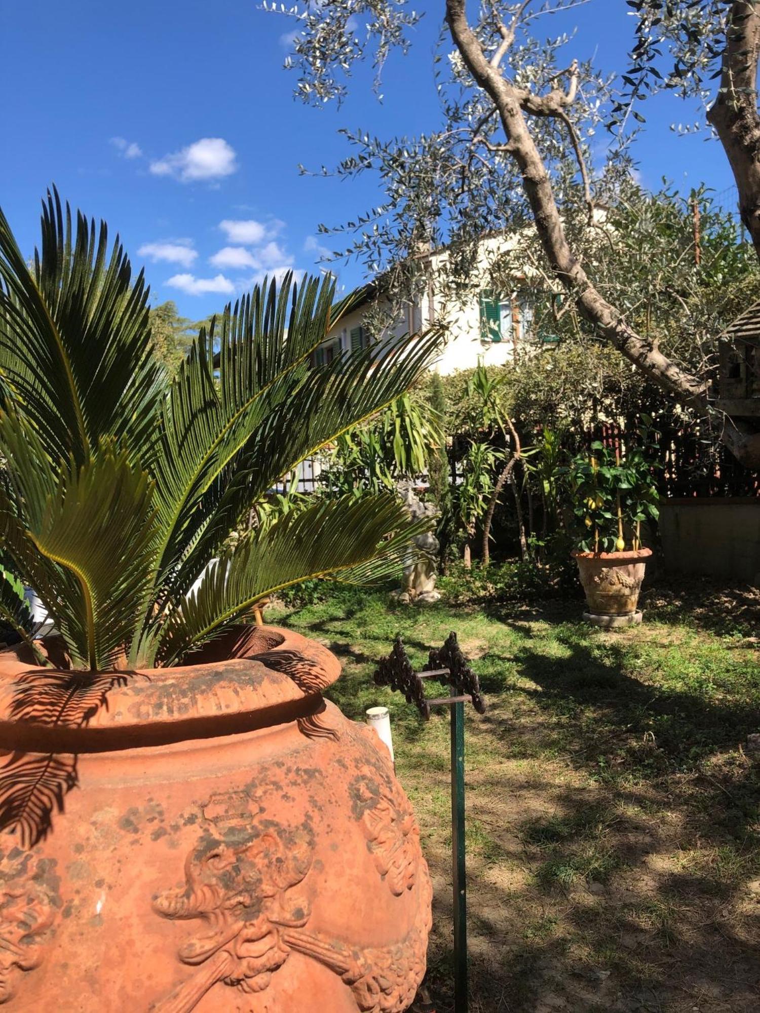 La Villa Bianca - Appartamento In Villa Sesto Fiorentino Ngoại thất bức ảnh