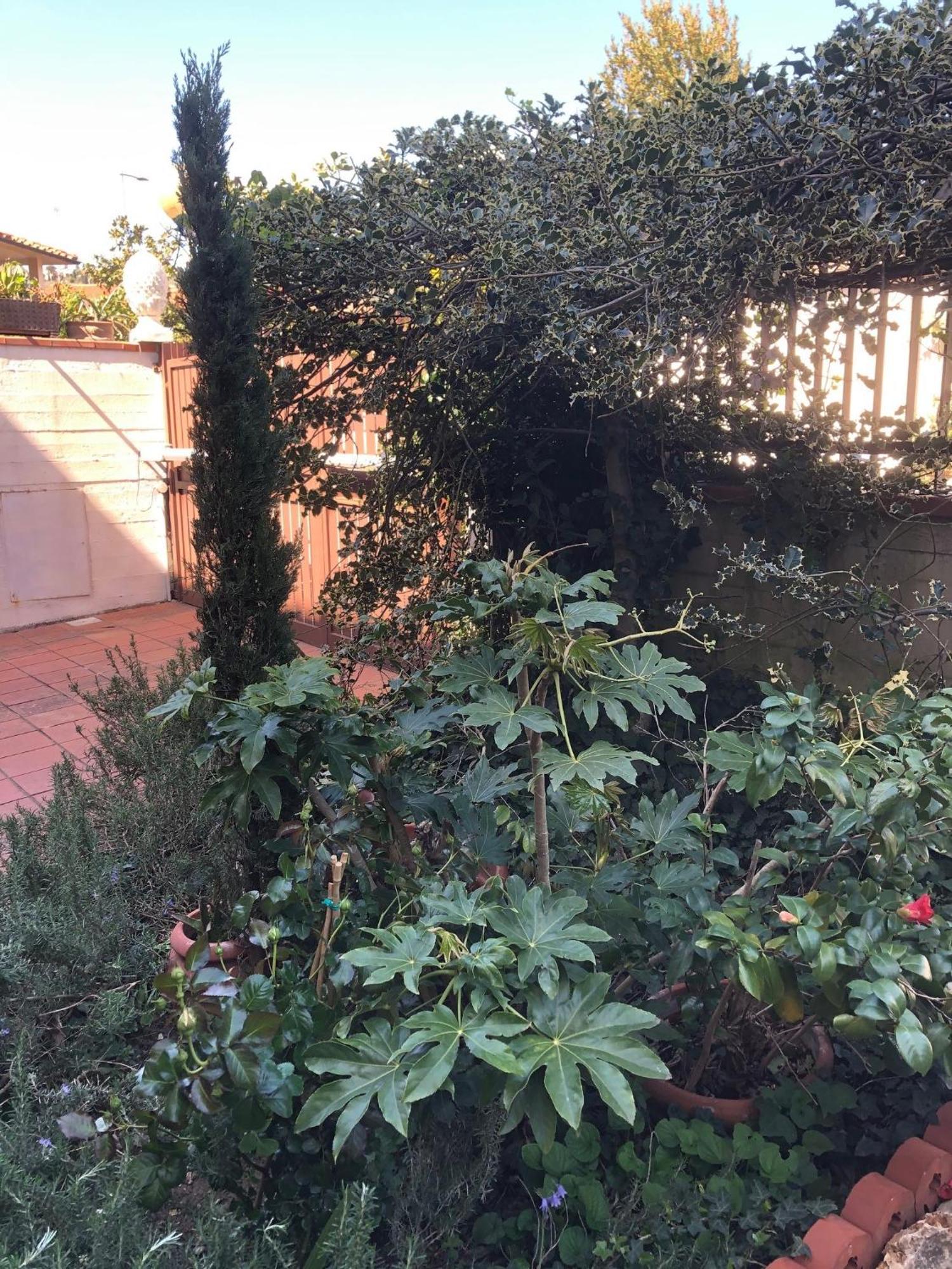 La Villa Bianca - Appartamento In Villa Sesto Fiorentino Ngoại thất bức ảnh