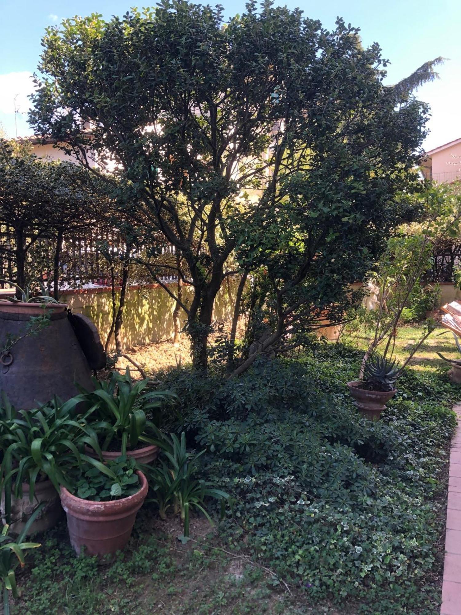 La Villa Bianca - Appartamento In Villa Sesto Fiorentino Ngoại thất bức ảnh